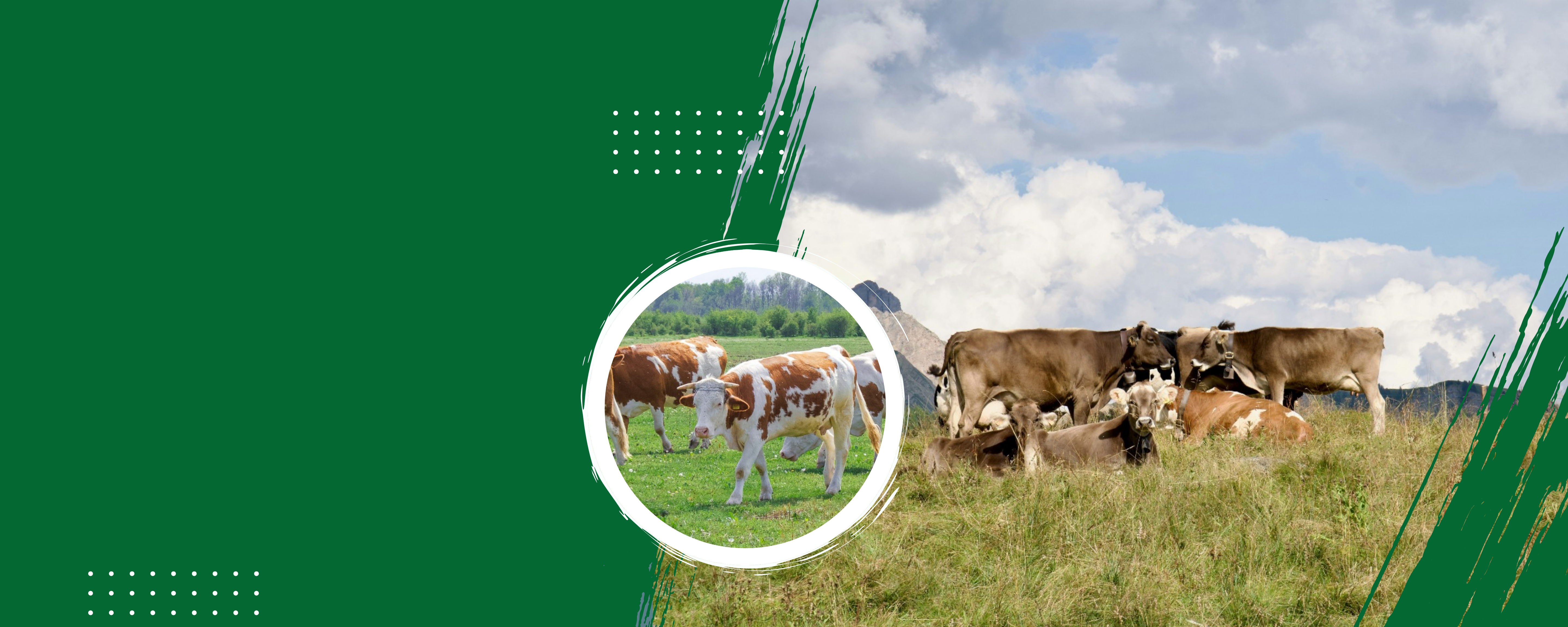 Fondo Pasturas