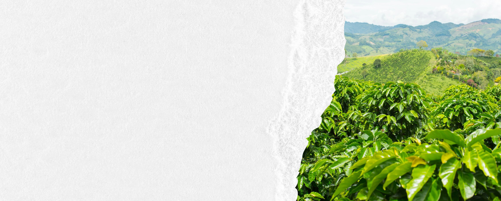 Actualización de requisitos para proyectos